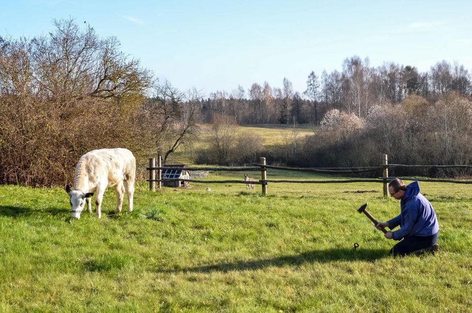 Vienuolių gyvenimas – ne tik malda