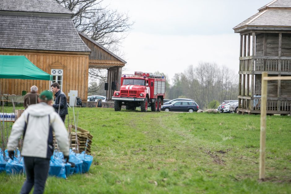 Neeilinė šventė – Rumšiškėse pasodinti šimtamečių ąžuolų klonai