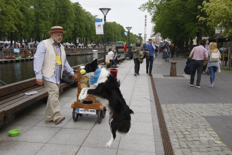 Klaipėdoje muzikos garsai liejasi laisvai