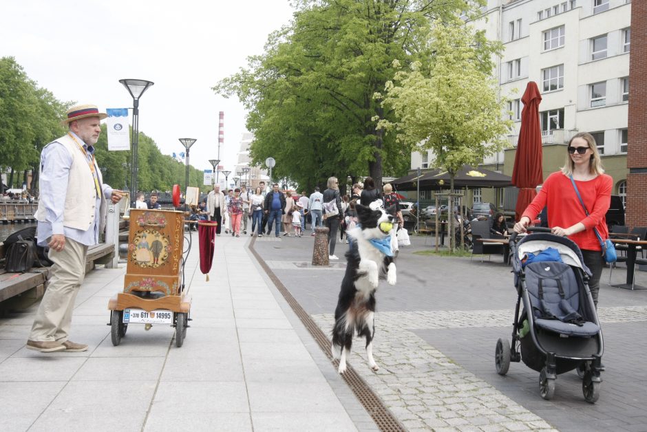 Klaipėdoje muzikos garsai liejasi laisvai