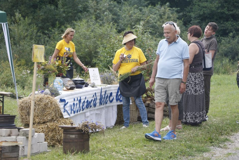 Gargžduose pakvipo cepelinais – vyksta virimo čempionatas