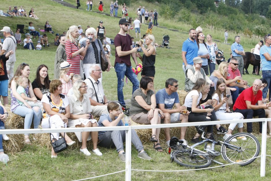 Gargžduose pakvipo cepelinais – vyksta virimo čempionatas