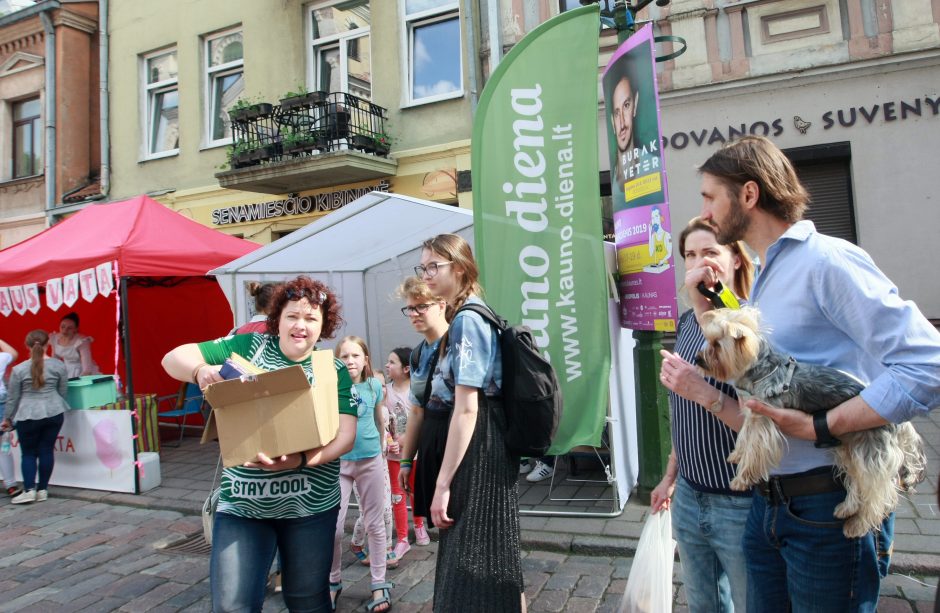 Laikinosios sostinės dvasia sugrįžo į Kauną