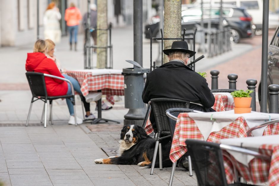 Vilnius ruošiasi lauko kavinių sezonui