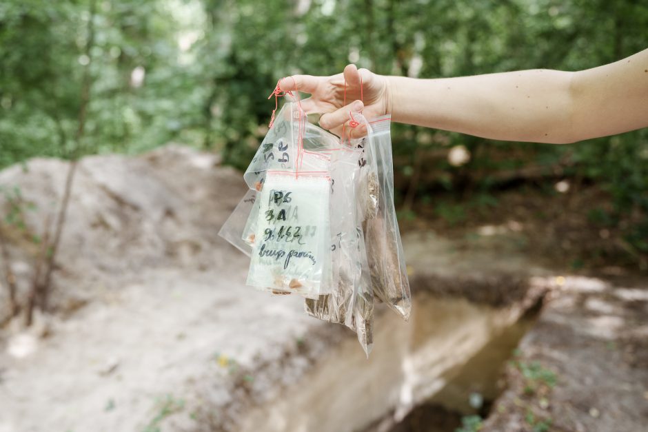 Archeologai Kukuliškių piliakalnyje skelbia radę gintaro apdirbimo įrodymų