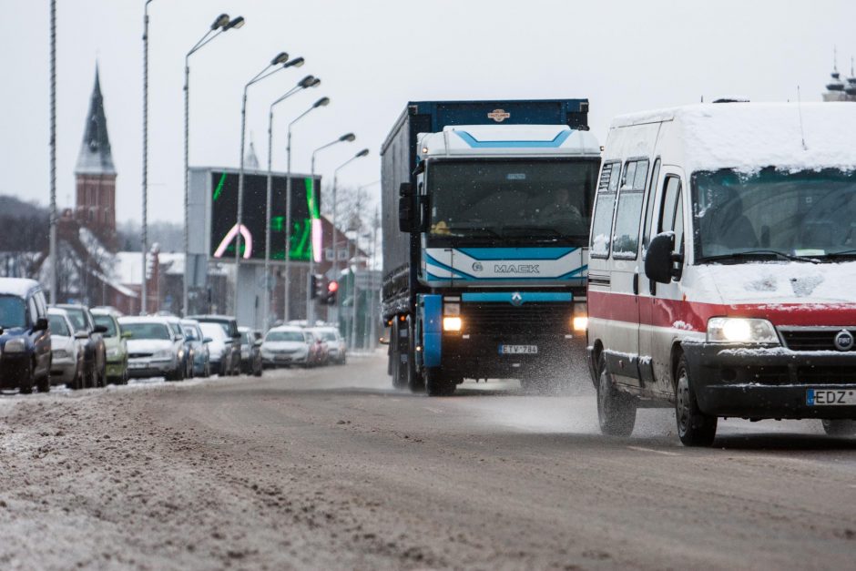 Sugrįžusi žiema bėdų nepridarė