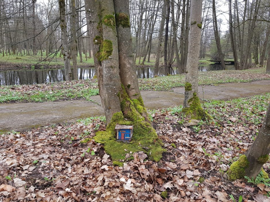 Botanikos sode kuriasi „Dėdės Gedo elfų“ kaimelis