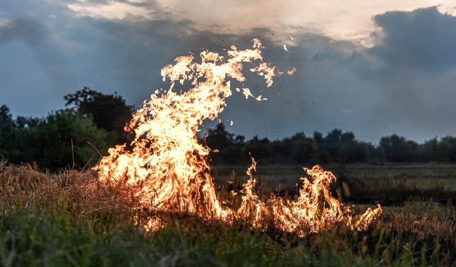 Jonavos rajone – gaisras: išdegė 5 ha miško paklotės, 10 ha pievų bei krūmynų