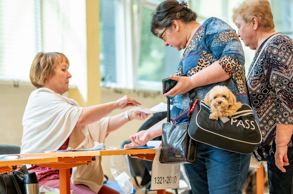 Europos Parlamento rinkimai Kaune: aktyvumas – visą dieną nedidelis