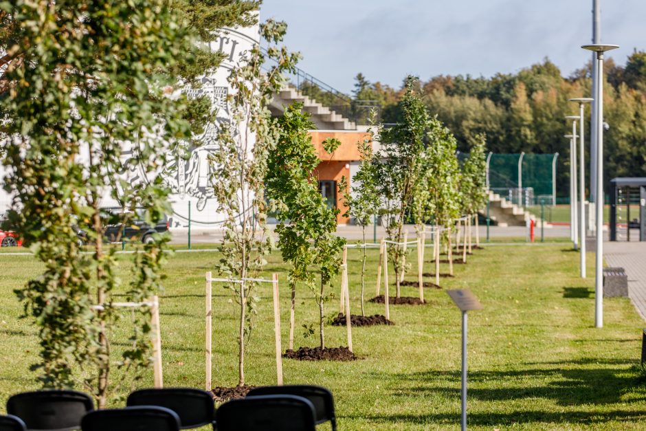 Šalia sporto centro stiebsis V. Adamkaus ąžuolai