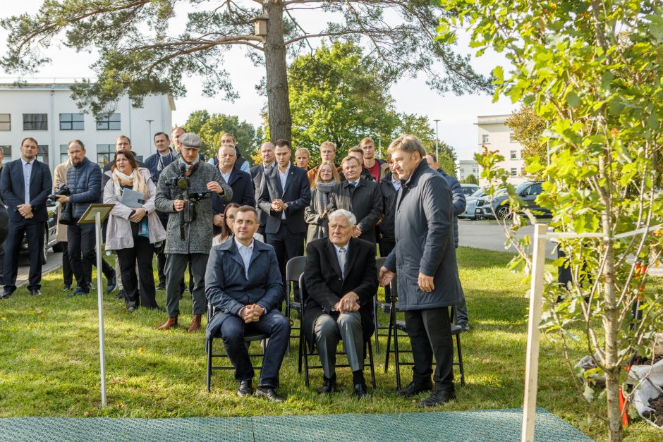 Šalia sporto centro stiebsis V. Adamkaus ąžuolai