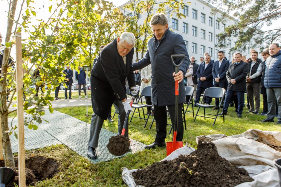 Šalia sporto centro stiebsis V. Adamkaus ąžuolai