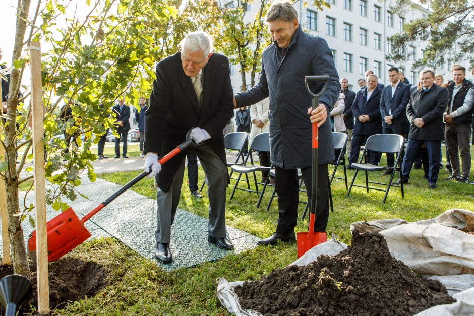 Šalia sporto centro stiebsis V. Adamkaus ąžuolai