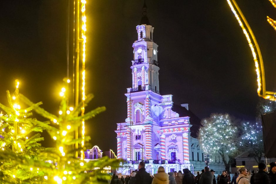 Nei Juodasis Katinas, nei toks pats Triušis Kauno specialiųjų tarnybų neišgąsdino