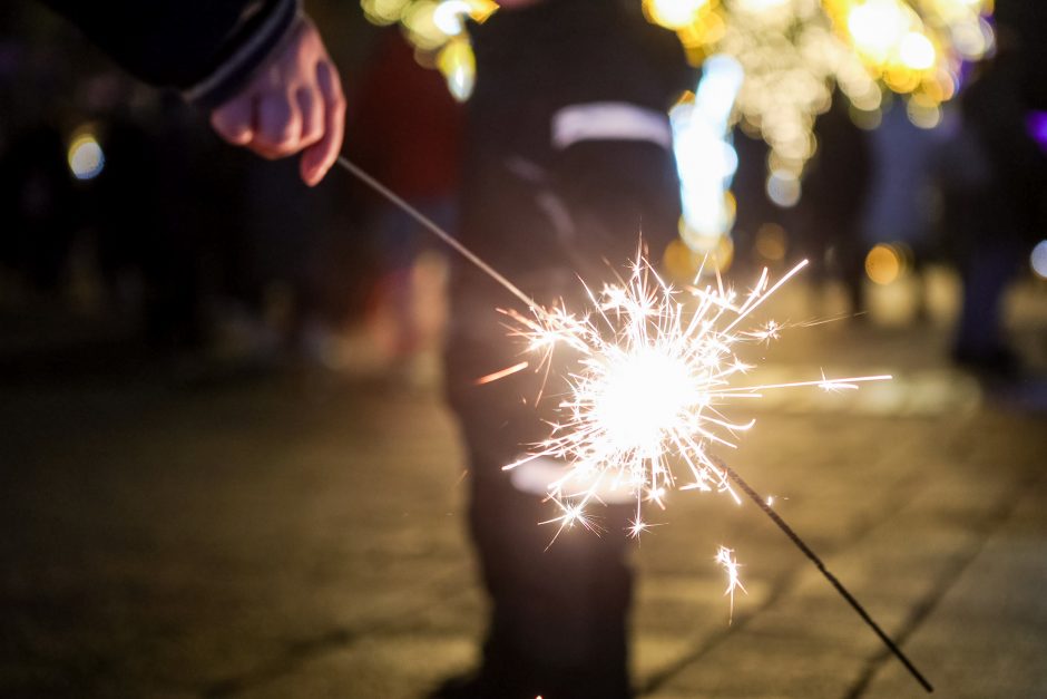 Nei Juodasis Katinas, nei toks pats Triušis Kauno specialiųjų tarnybų neišgąsdino