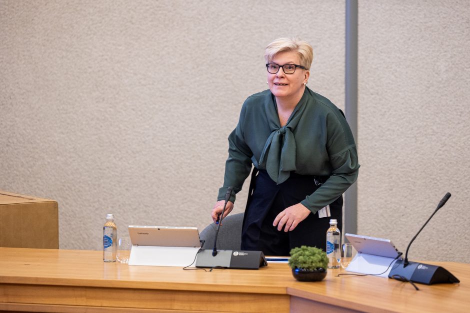 G. Skaistė: tvarus gynybos finansavimas mokestinėmis priemonėmis turi siekti 3 proc. BVP