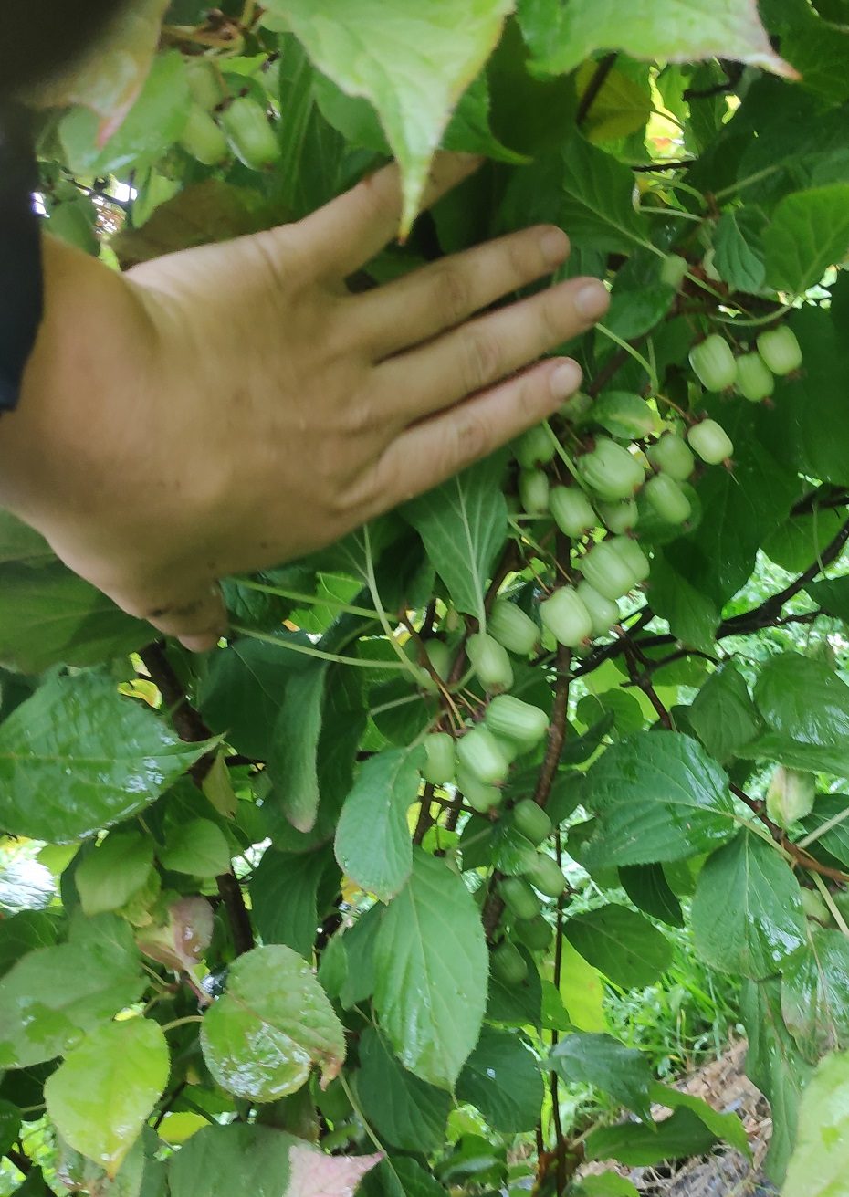 Parama jauniesiems ūkininkams – geriausia investicija