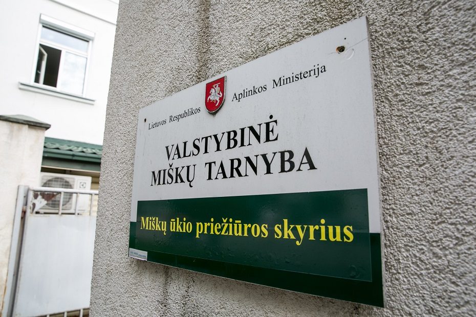 Ieškoma naujo Valstybinės miškų tarnybos vadovo