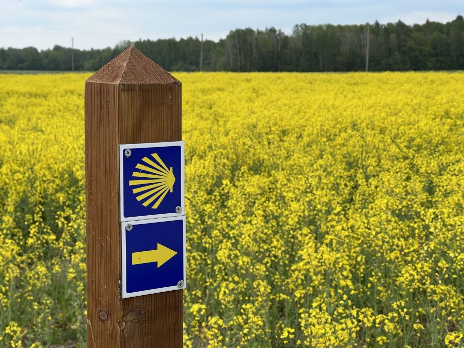 Šventojo Jokūbo kelias – jau ir Vakarų Lietuvoje