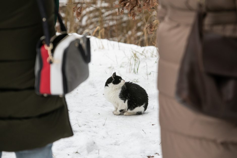 Ugniagesiai: per dvi paras gaisruose žuvo keturi žmonės