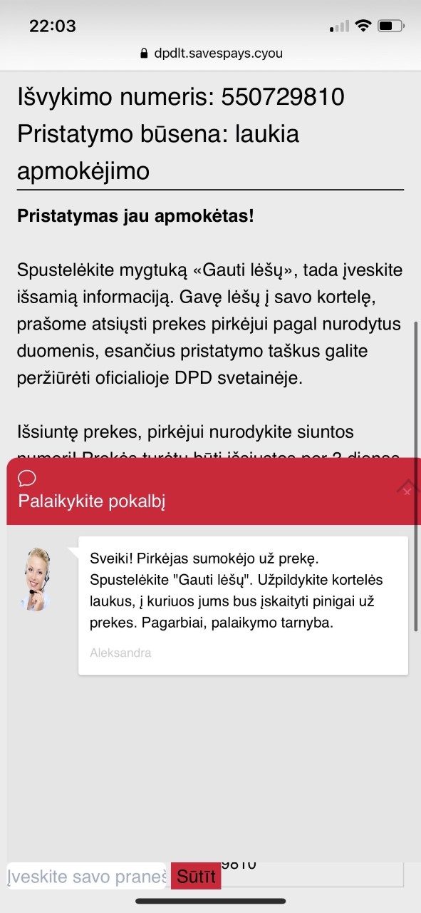 Interneto sukčiai nusitaikė į pardavėjus – apsimeta žinomų bendrovių kurjeriais