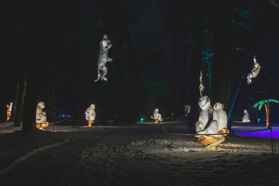 Botanikos sode – magiškas šviesų festivalis (nuotraukų galerija)