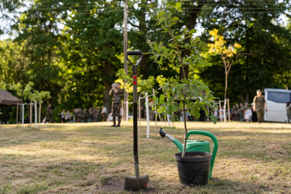 Šauliai švenčia: atidarė ąžuolų parką ir išjudėjo į trijų dienų 160 km žygį