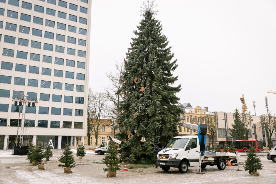 Nupuošiama Kauno kalėdinė eglė