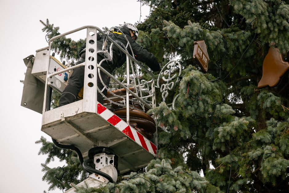 Nupuošiama Kauno kalėdinė eglė