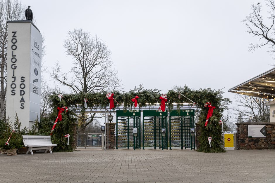 Lietuvos zoologijos sodas pasipuošė Kalėdoms: dovanų sulaukė ir gyvūnai