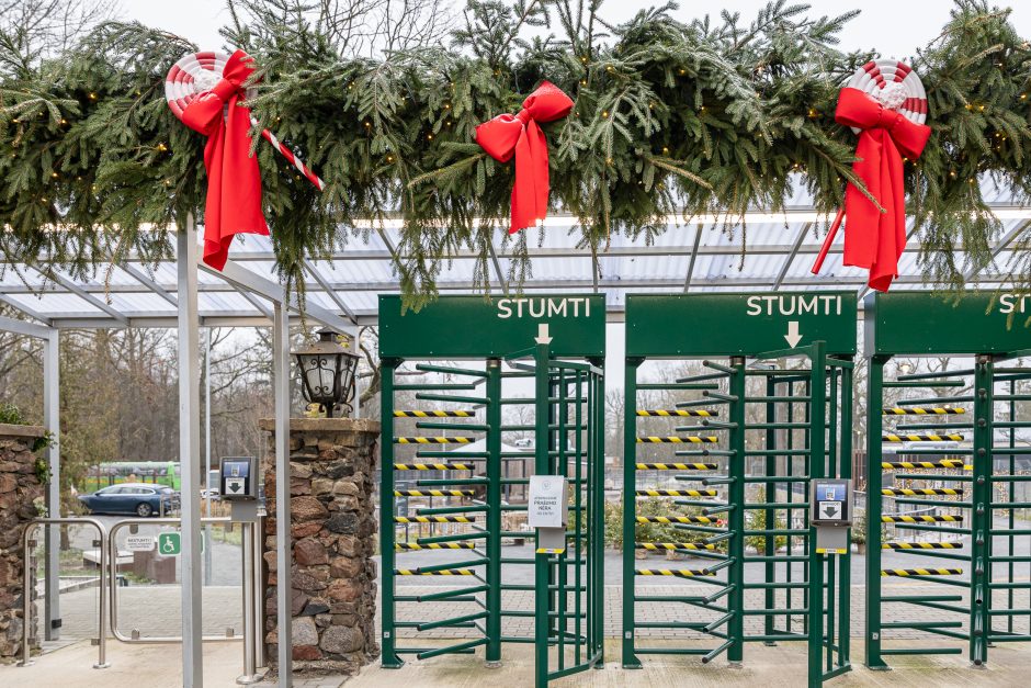 Lietuvos zoologijos sodas pasipuošė Kalėdoms: dovanų sulaukė ir gyvūnai