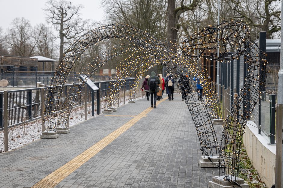 Lietuvos zoologijos sodas pasipuošė Kalėdoms: dovanų sulaukė ir gyvūnai