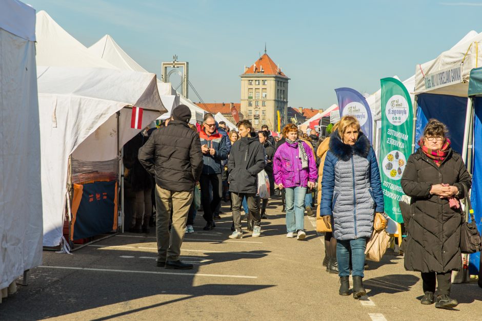 Kaune įsisiūbuoja Kaziuko mugė