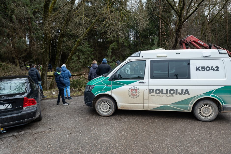 Gyventojai stoja prieš nelegalų medžių kirtimą rekreaciniame miške: pjauna viską 