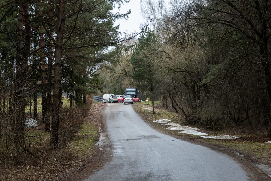 Gyventojai stoja prieš nelegalų medžių kirtimą rekreaciniame miške: pjauna viską 