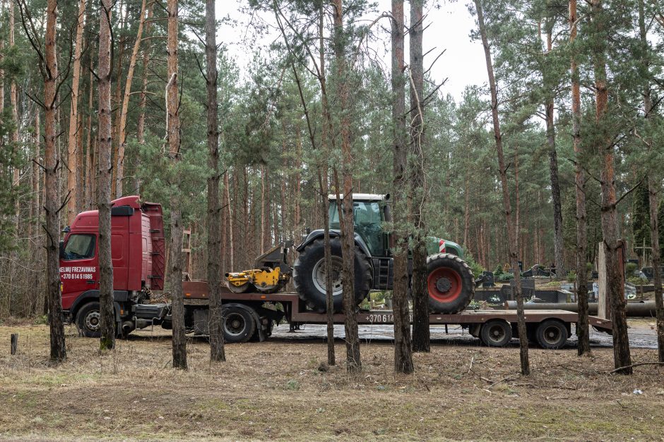 Gyventojai stoja prieš nelegalų medžių kirtimą rekreaciniame miške: pjauna viską 