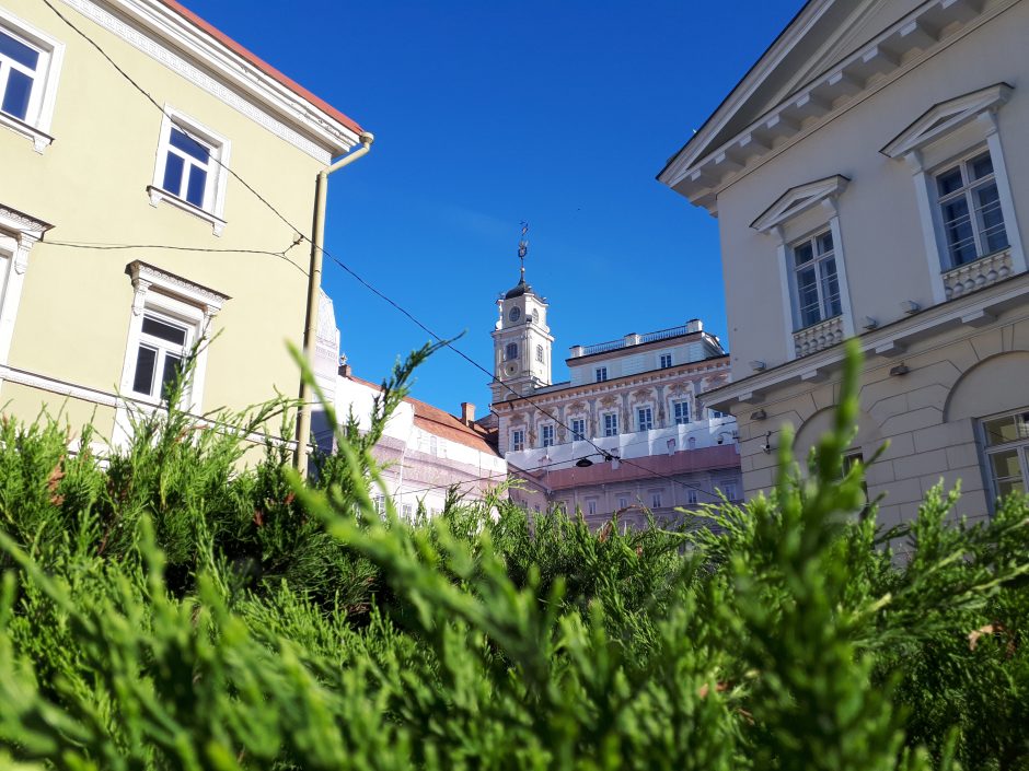 Mokslo metų pradžios proga – nauji pažintiniai Vilniaus maršrutai vaikams