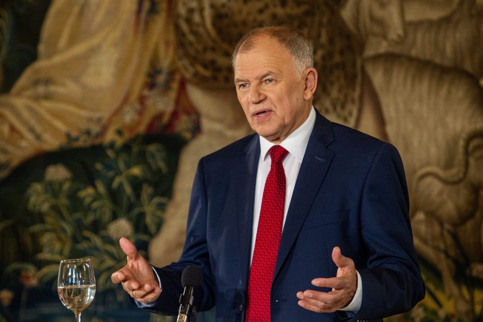 V. Andriukaitis: rinkimus pralaimėjęs S. Skvernelis padarė daug klaidų