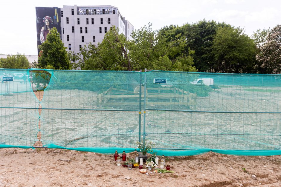 Dėl Vilniuje nukirsto ąžuolo prokuratūra pradėjo ikiteisminį tyrimą