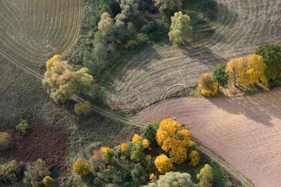 Valstybės kontrolė baigia auditus, susijusius su valstybės žeme, turtu