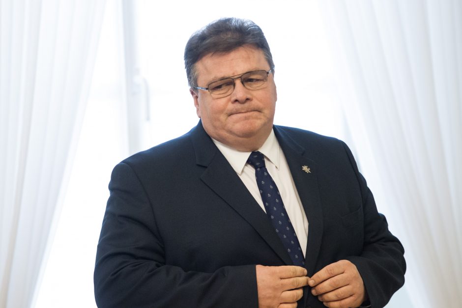 L. Linkevičius – apie svarbiausius naujos kadencijos tikslus