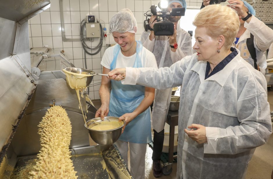 D. Grybauskaitė Biržuose pažėrė kritikos buvusiai valdžiai