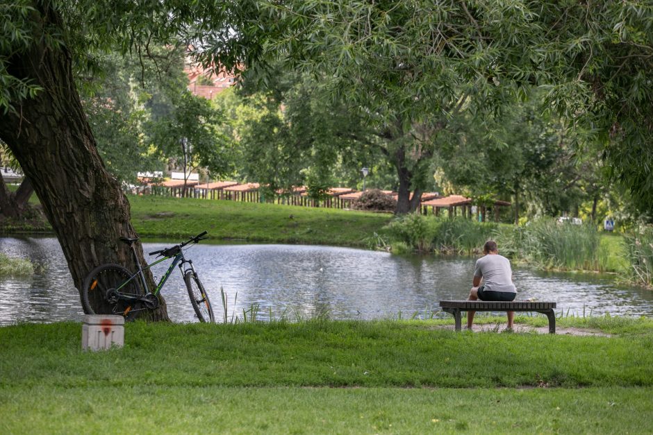 Misionierių sodų ateities scenarijų pakoregavo gyventojų tradicijos