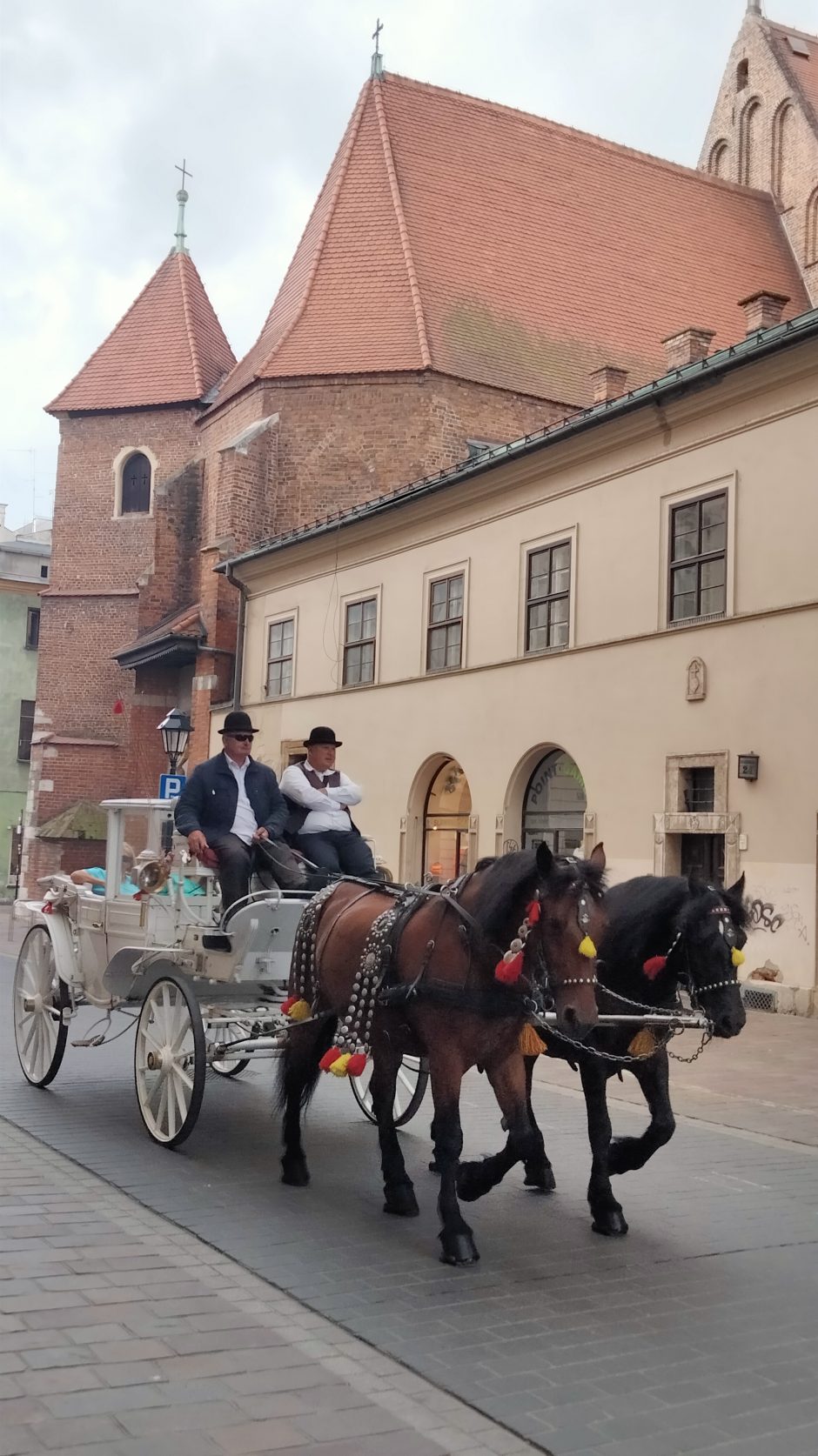 J. Miškinytė: Krokuva gali tapti pažintimi su primirštu pačiu savimi