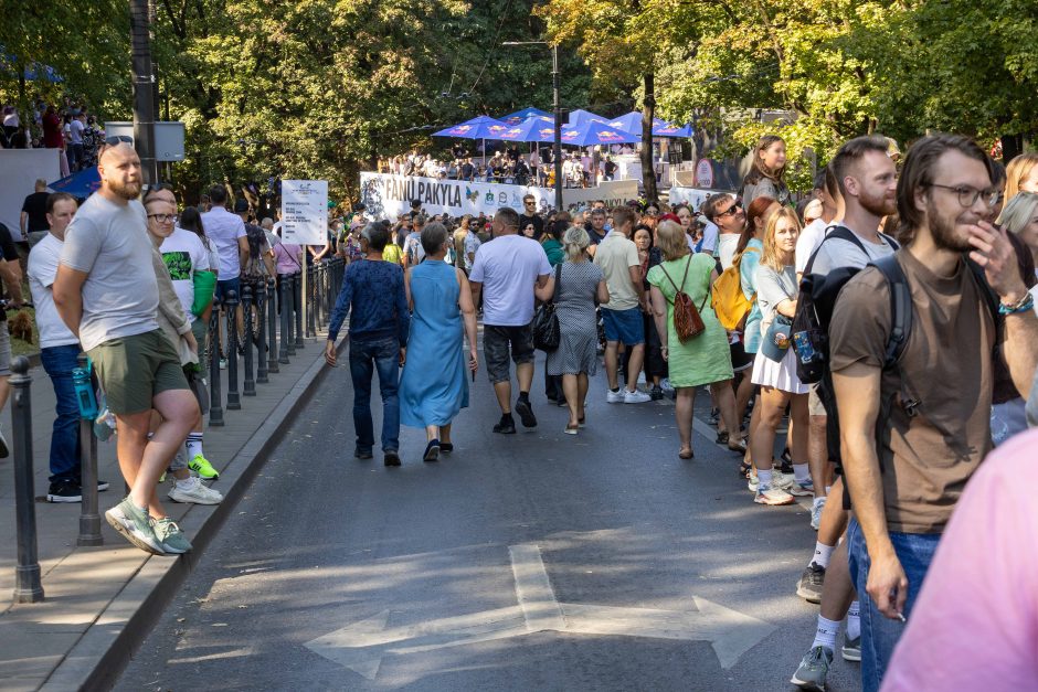 „Redbull“ muilinių lenktynės Kaune (2024 m.)