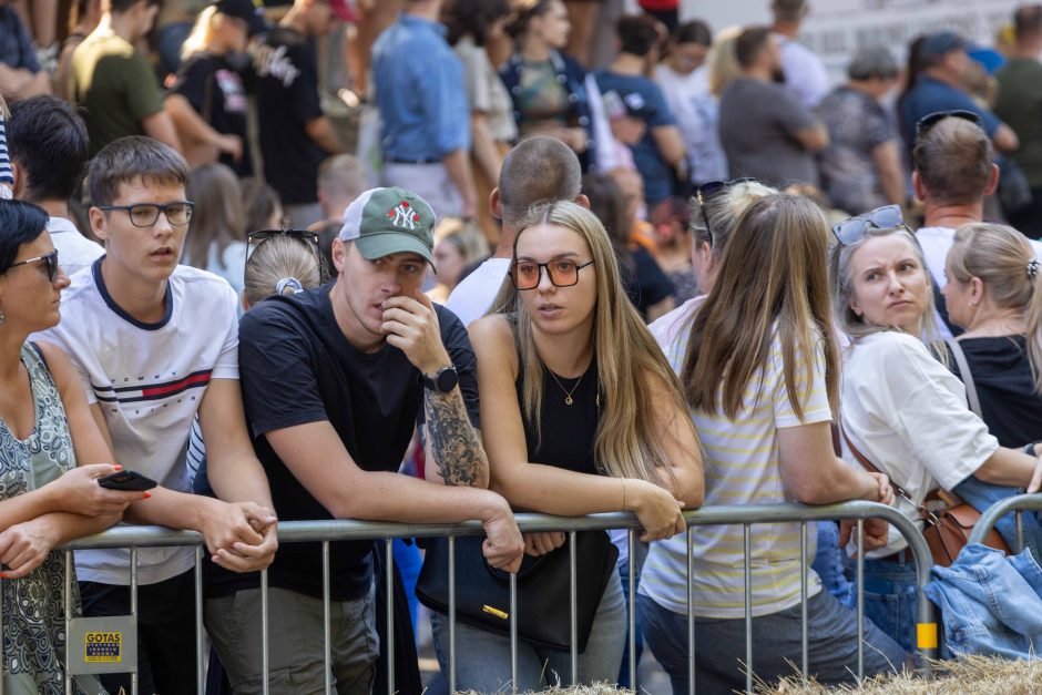 „Redbull“ muilinių lenktynės Kaune (2024 m.)