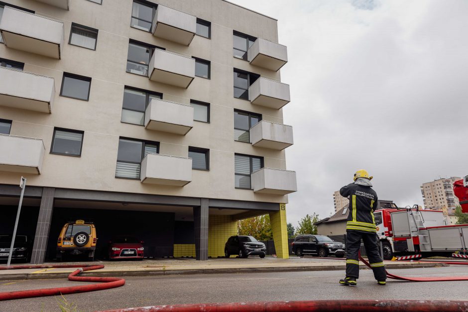 Per gaisrą Vilniaus Trimitų gatvėje žmogus apdegė ranką, rastas negyvas katinas