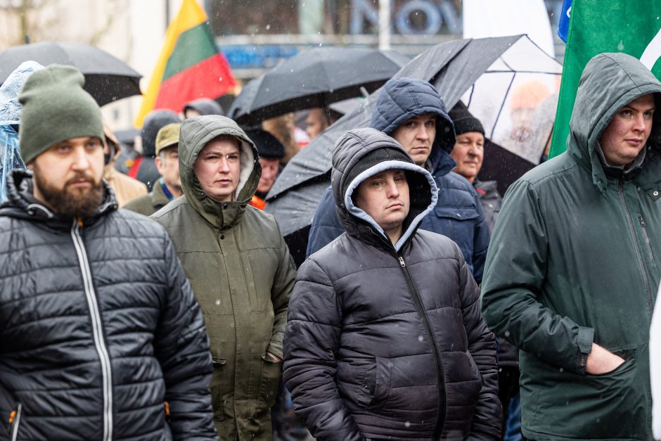 Premjerė: nėra iki galo teisinga sakyti, kad ūkininkų niekas negirdi