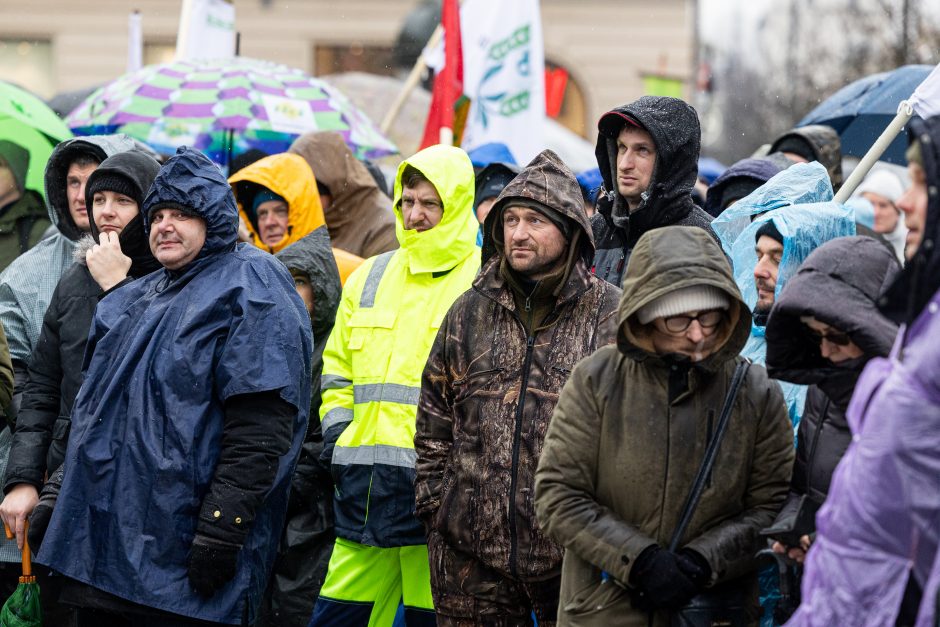 Premjerė: nėra iki galo teisinga sakyti, kad ūkininkų niekas negirdi