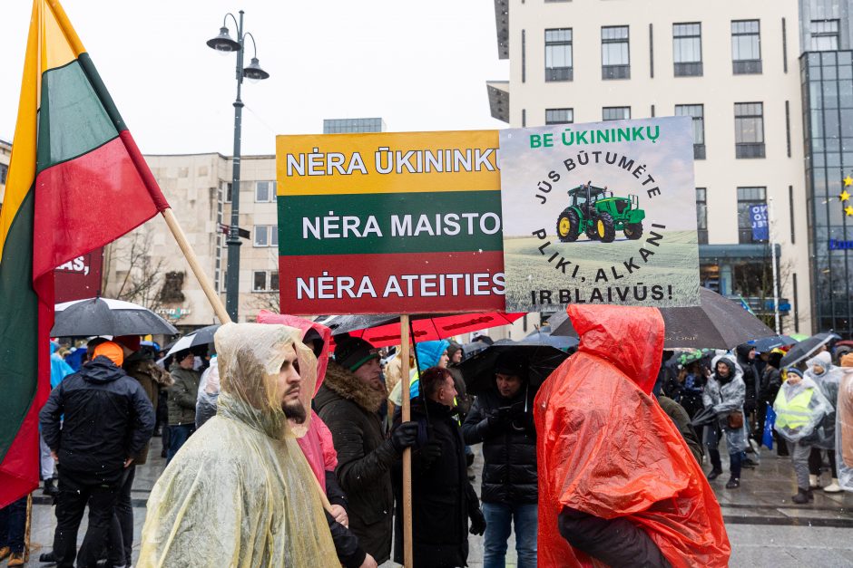 Premjerė: nėra iki galo teisinga sakyti, kad ūkininkų niekas negirdi